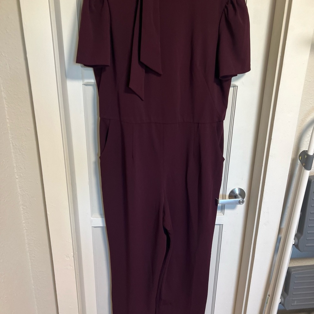 Mauve Color Jumpsuit - image 3